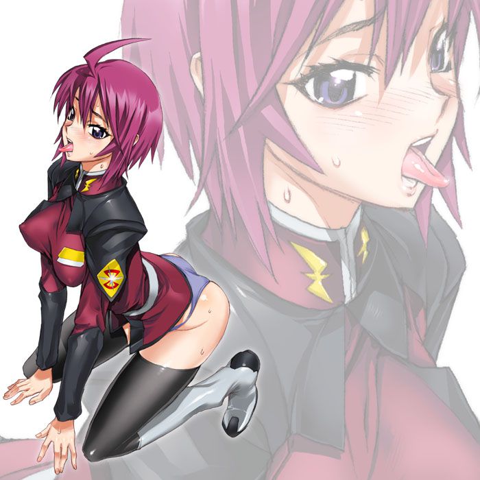 The erotic image summary that comes out of Mobile Suit Gundam SEED 2