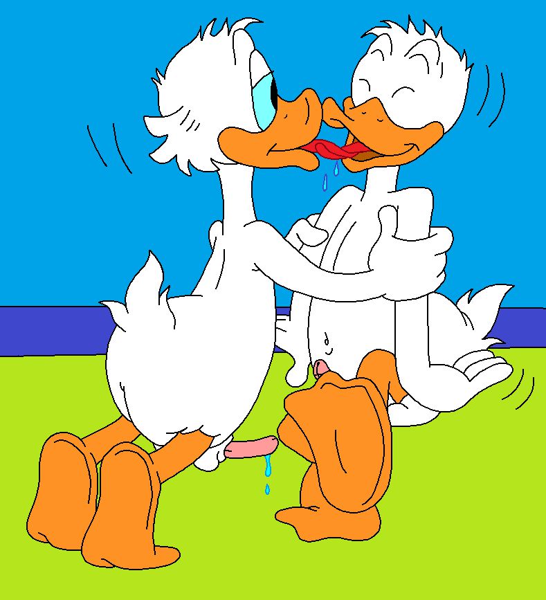 Kissing Ducks 3