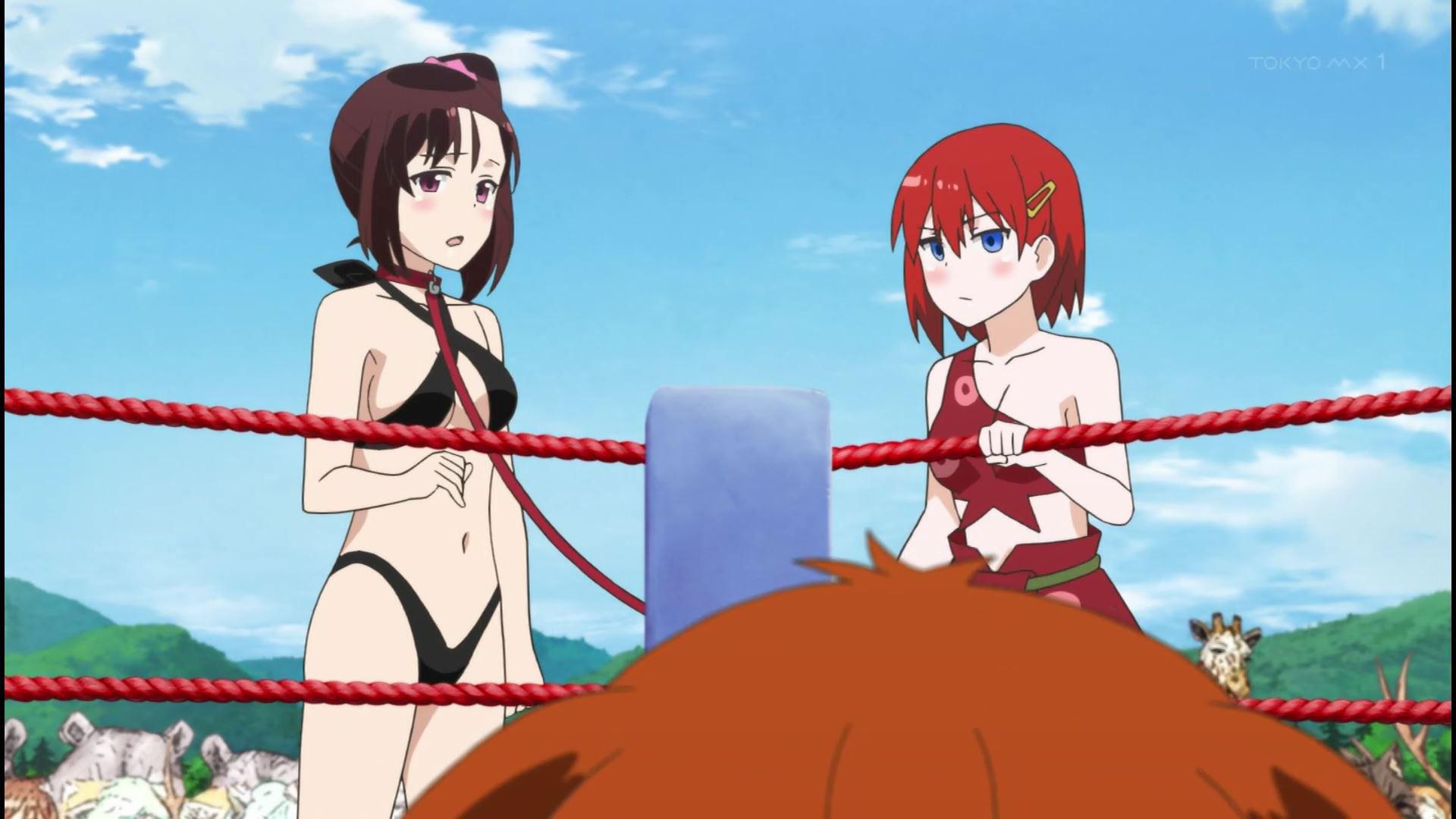 Anime [Shimarenuse] Seaton Gakuen] scene that girls become insanely erotic costumes in episode 12 13