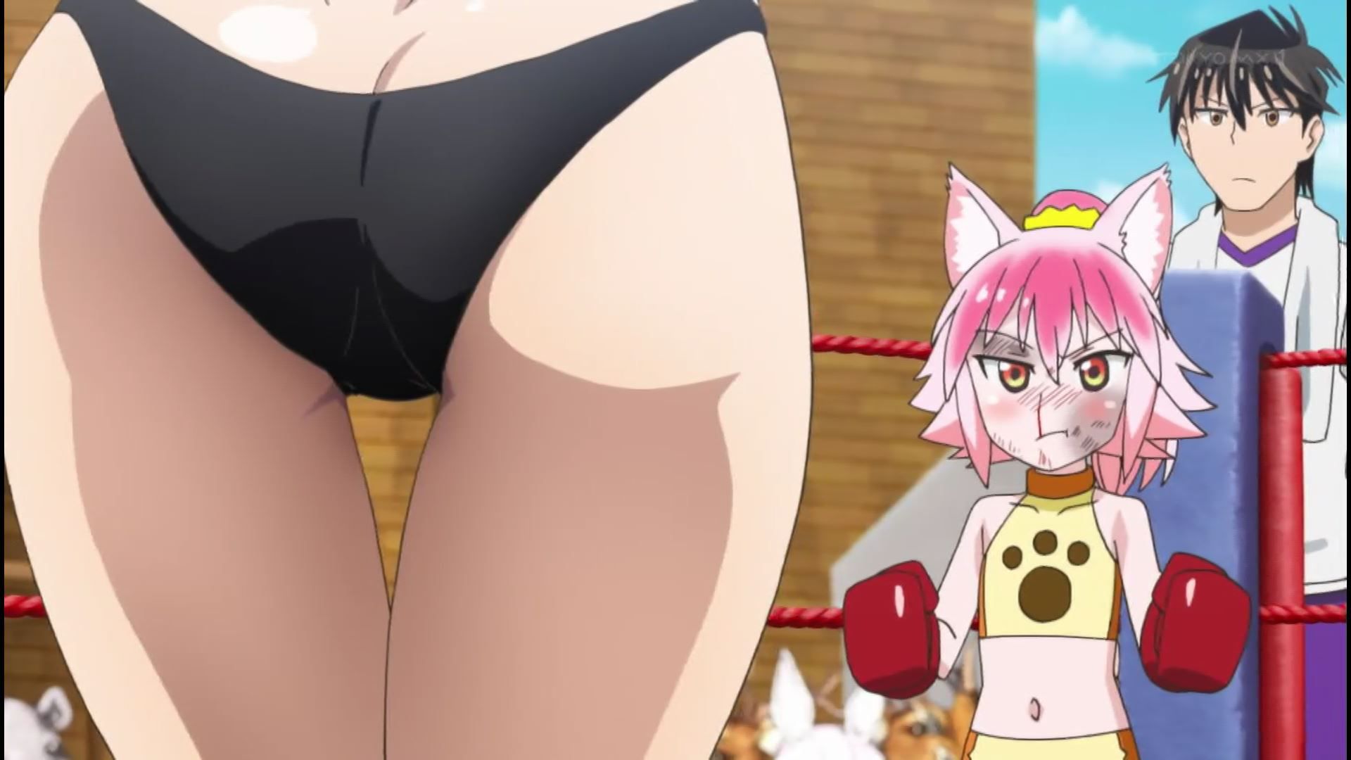 Anime [Shimarenuse] Seaton Gakuen] scene that girls become insanely erotic costumes in episode 12 22
