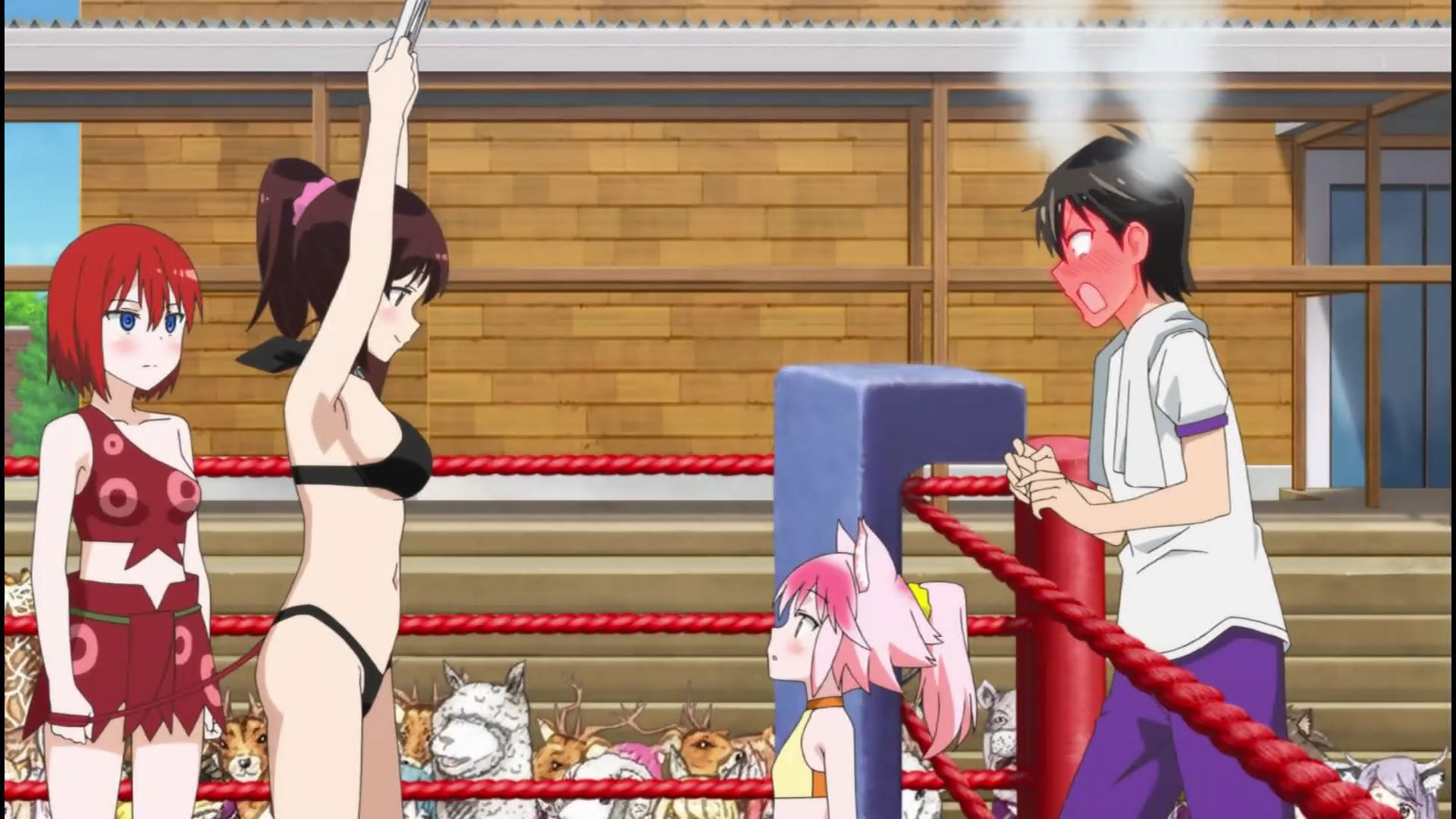 Anime [Shimarenuse] Seaton Gakuen] scene that girls become insanely erotic costumes in episode 12 9