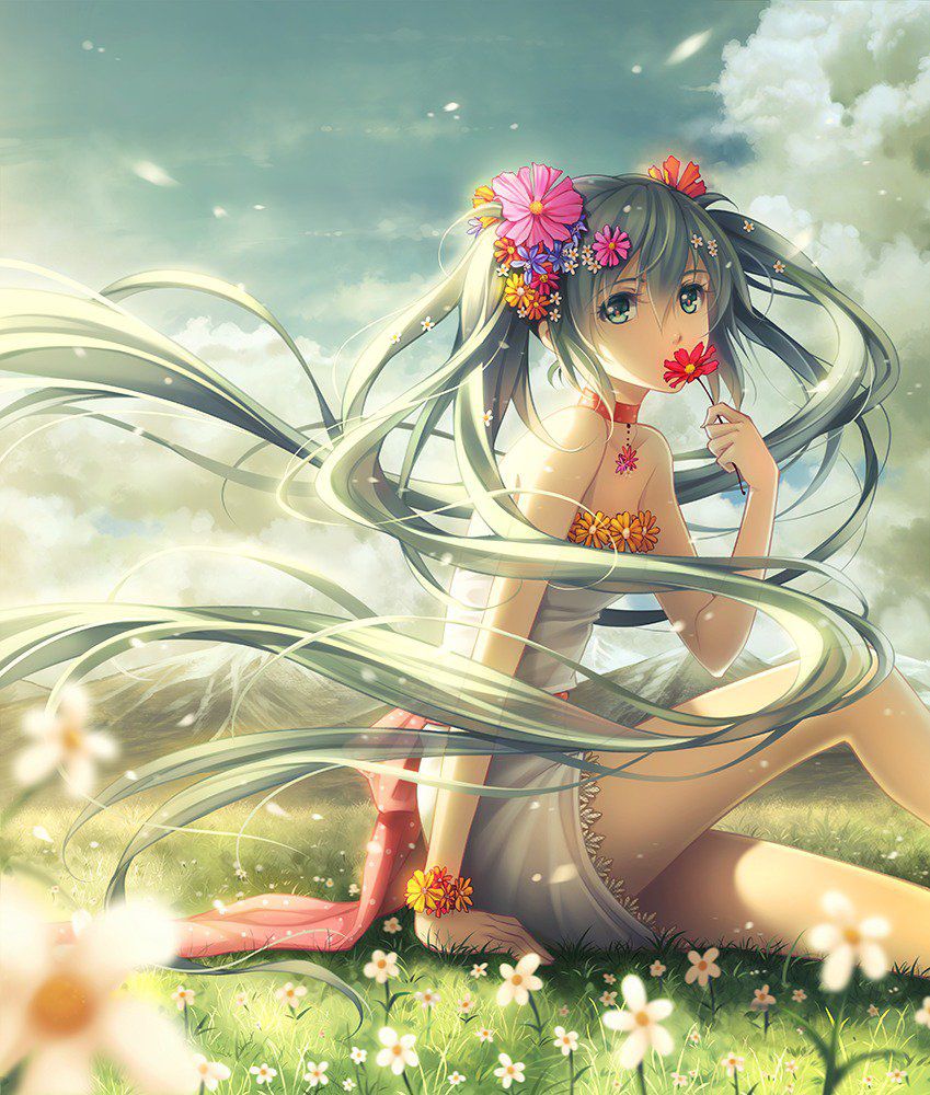 It is an erotic image of the twin tail! 15