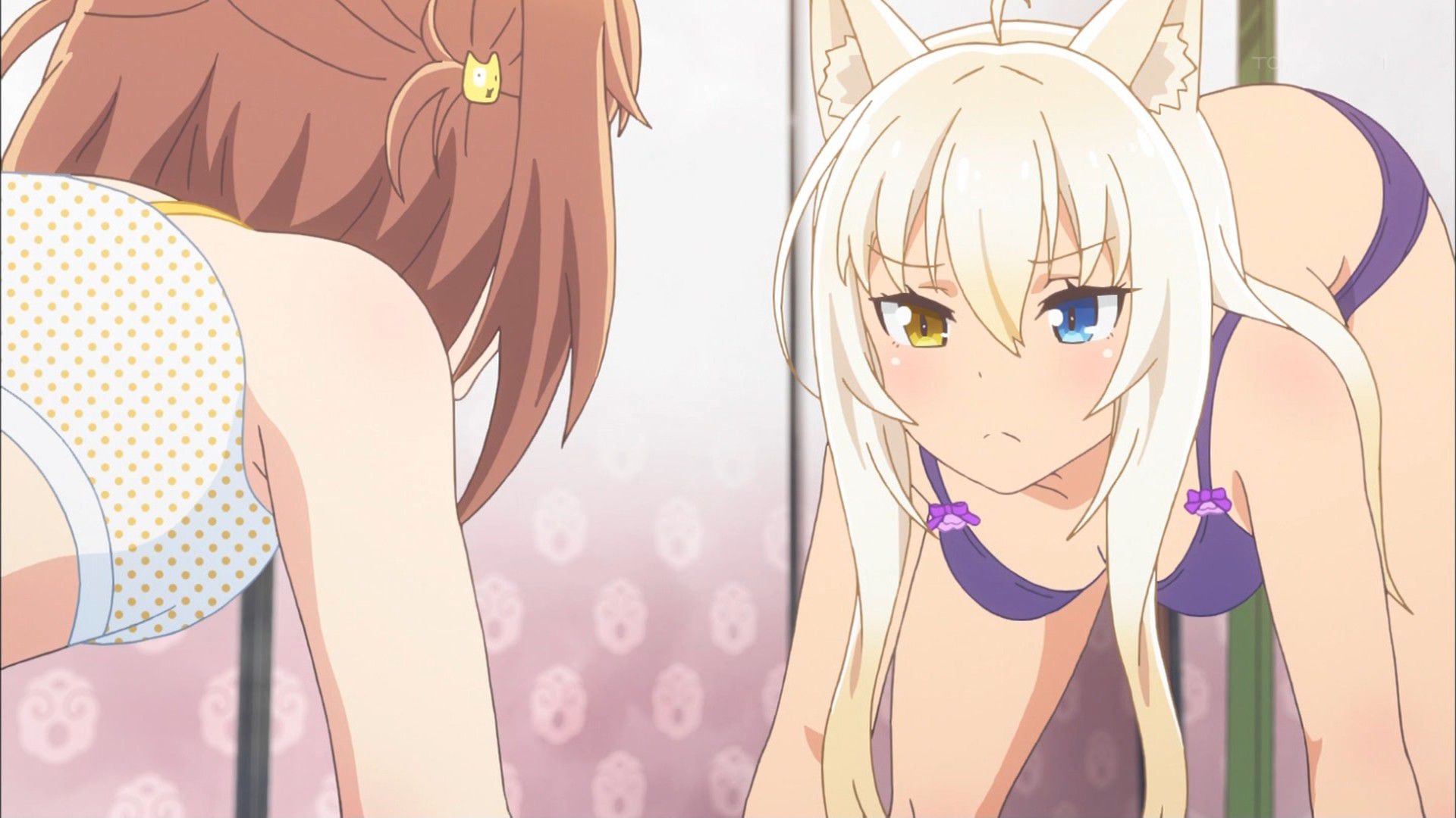 [Echiechi Festival] [Nekopara] 4 episodes, there is a guy who does not make this a little big?!?!? 16