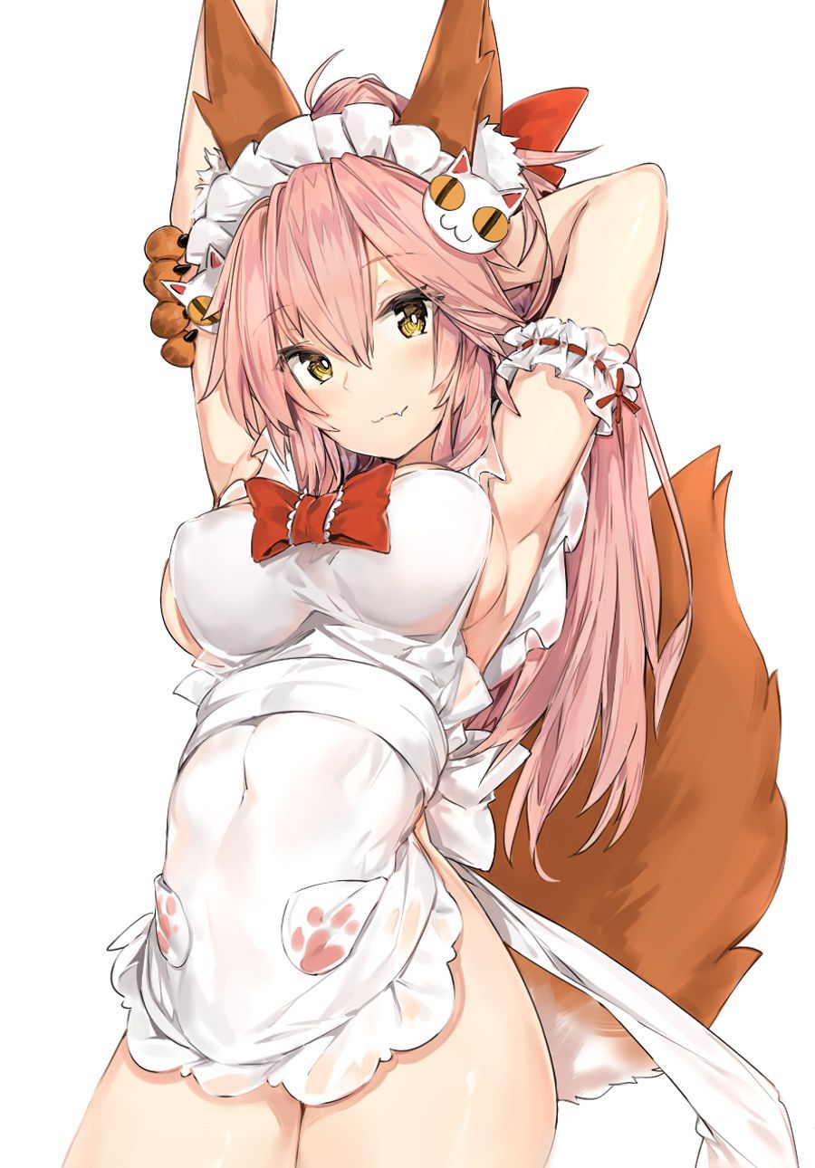 [Fate] erotic image of Tamamo cat 25