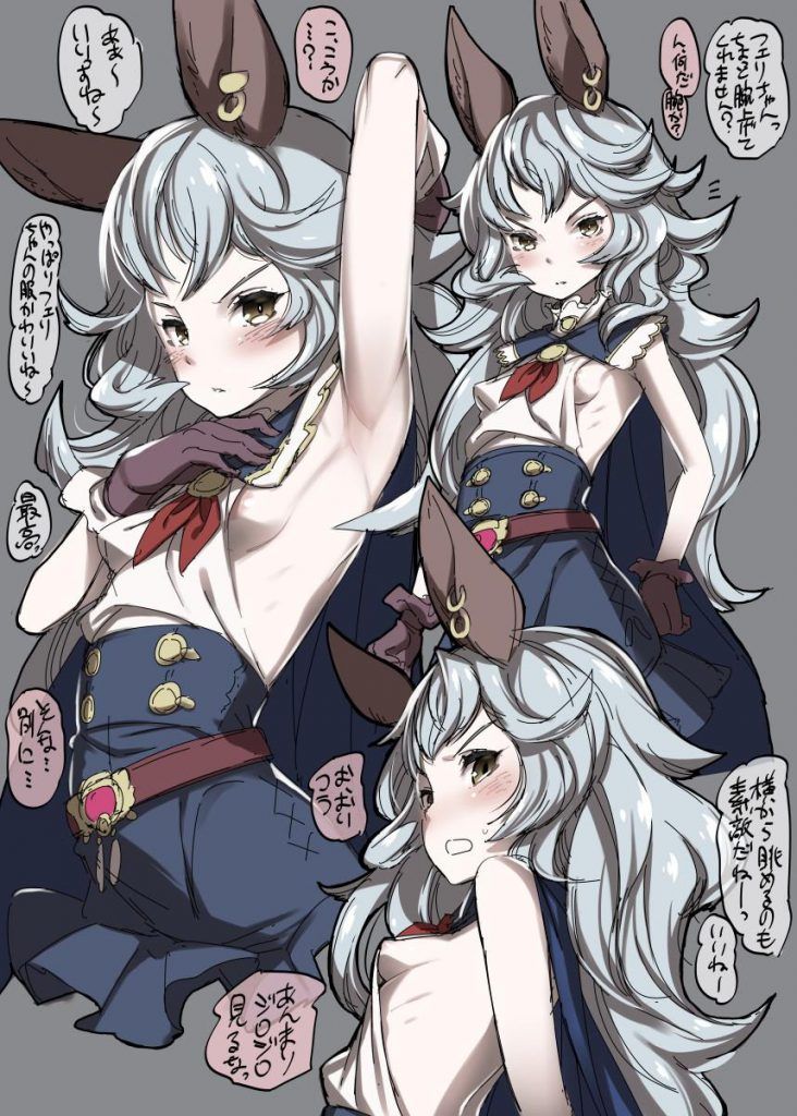 Take an erotic too much image of Gran Blue Fantasy! 9