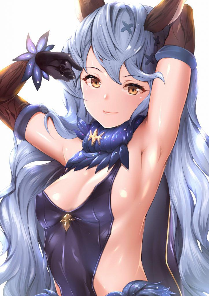 Gran Blue Fantasy Image Warehouse is here! 4