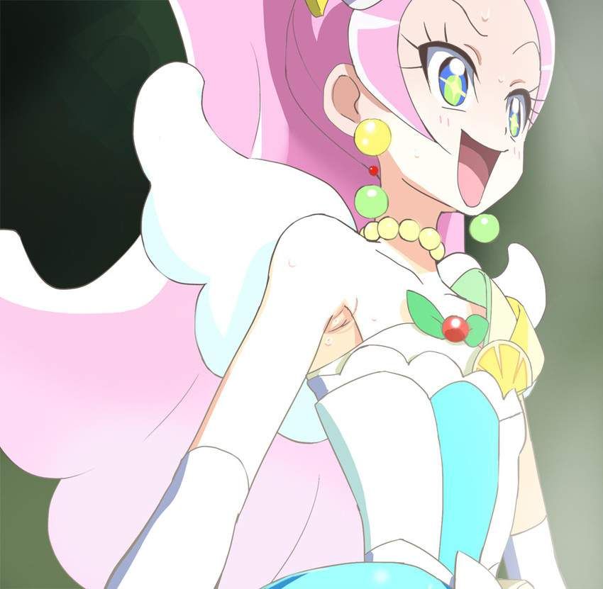 Precure's Selected♪ Images 11