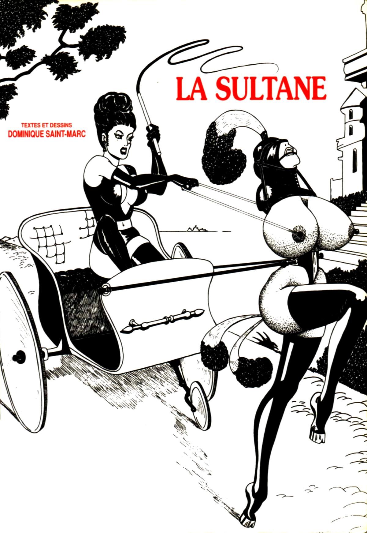 [Dominique St-Marc] La Sultane [French] 1