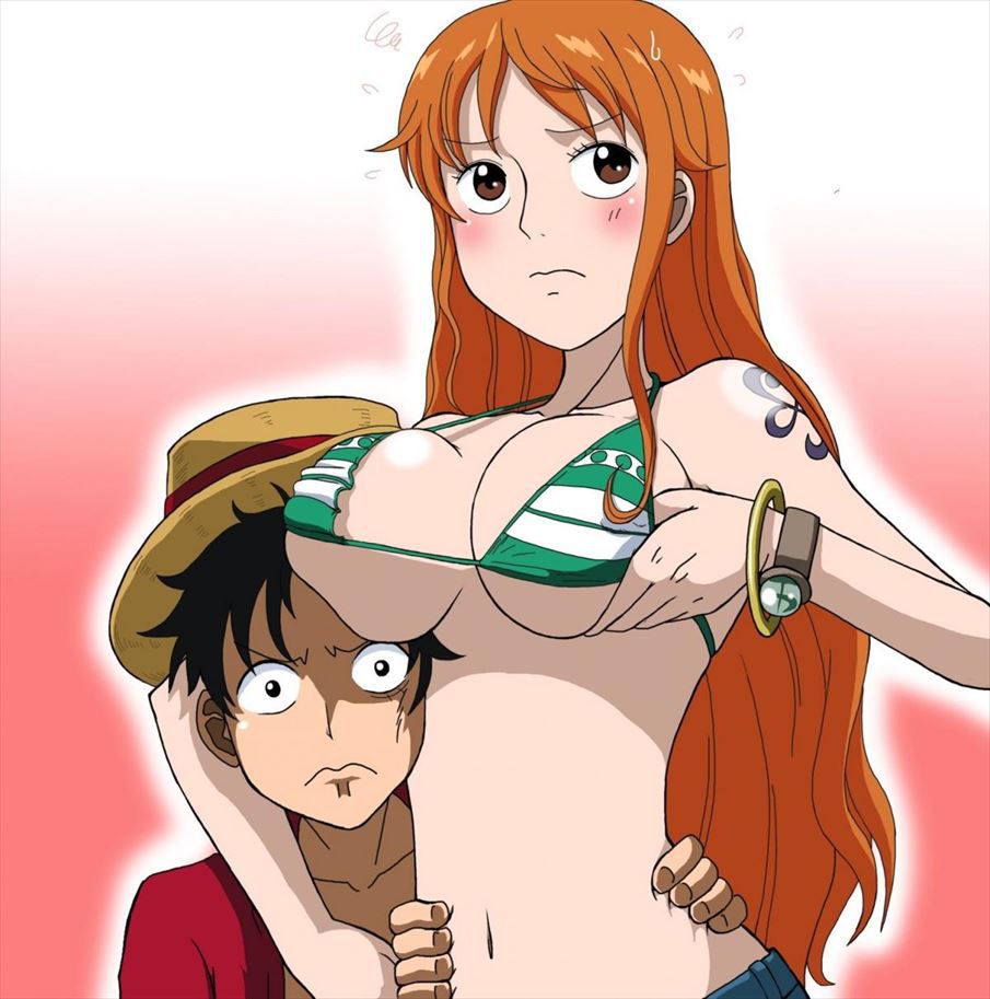 I will review the erotic image of one piece 11