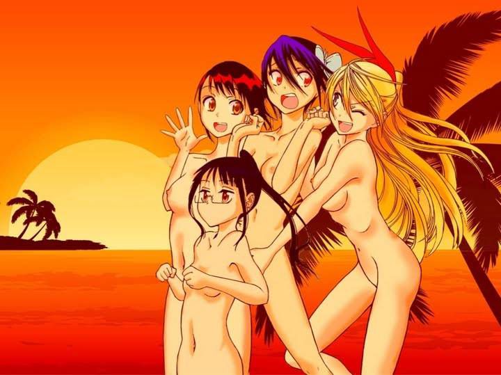 I will release the erotic image folder of Nisekoi 14