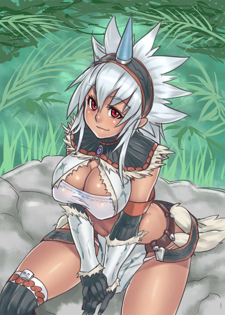 Take an erotic too much image of Monster Hunter! 5