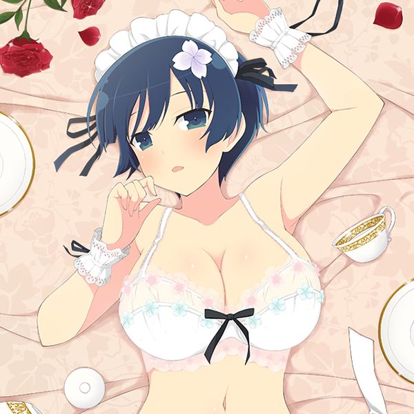 【Image】The sex image of Senran Kagura gathers. 14