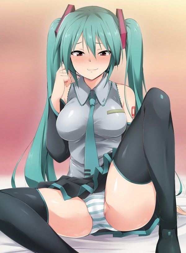 The image of the vocaloid is erotic, isn't it? 14