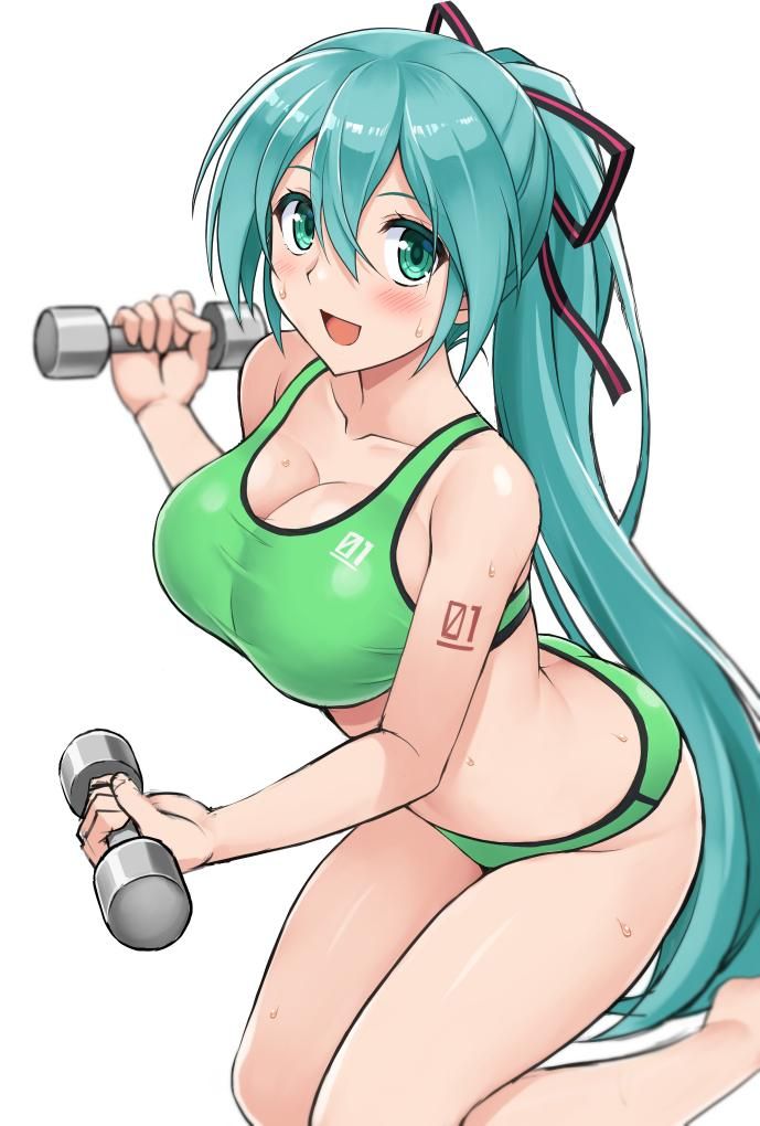The image of the vocaloid is erotic, isn't it? 4