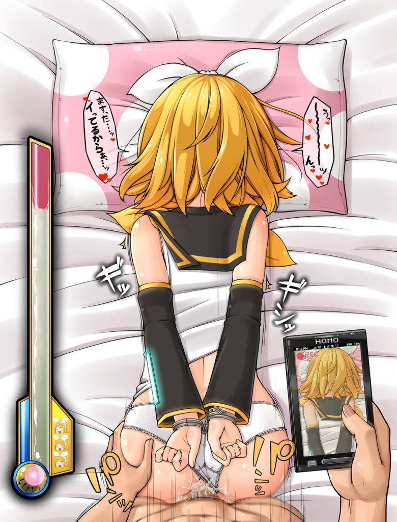 The image of the vocaloid is erotic, isn't it? 7