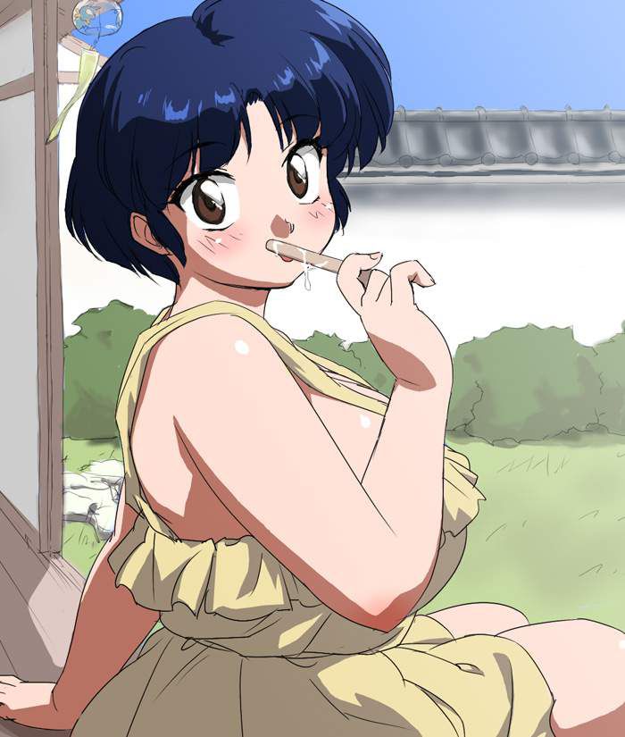 【Ranma 1/2】Erotic images of Akane Tendo 17