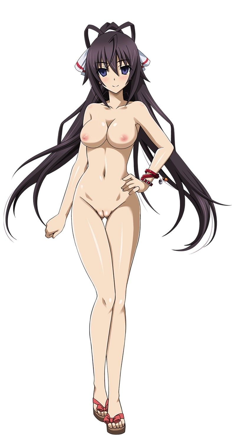 IS (Infinite Stratos) Stripped Cora Part 24 12