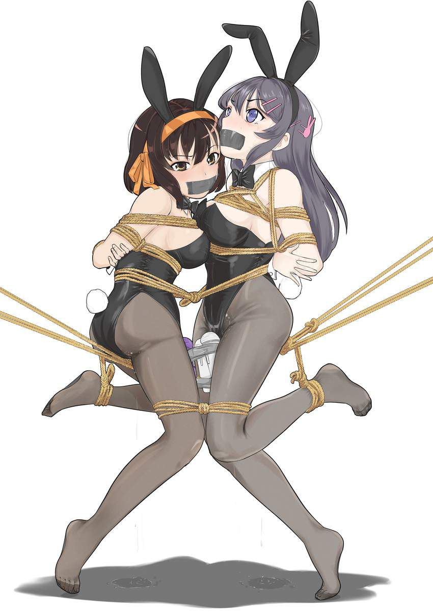 [Nikoichi] secondary erotic image of girls who are tied up together 22