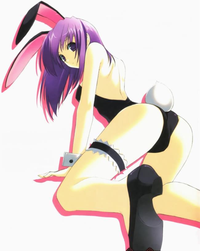 In the secondary erotic picture of the bunny girl! 1