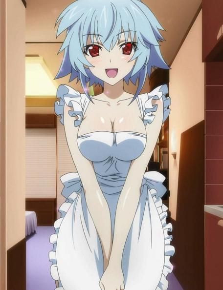 IS-Infinite Stratos-[No more] 16 sheets 1