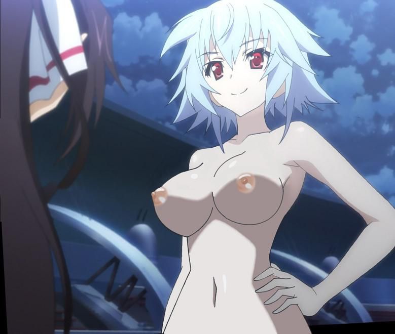 IS-Infinite Stratos-[No more] 16 sheets 9