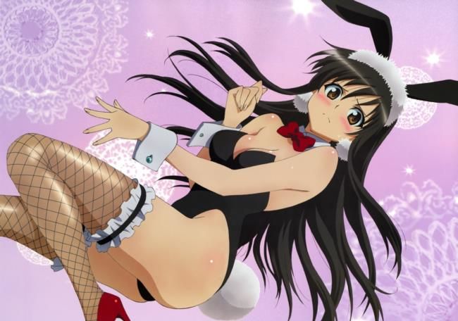 Bunny Girl's secondary erotic picture summary 12