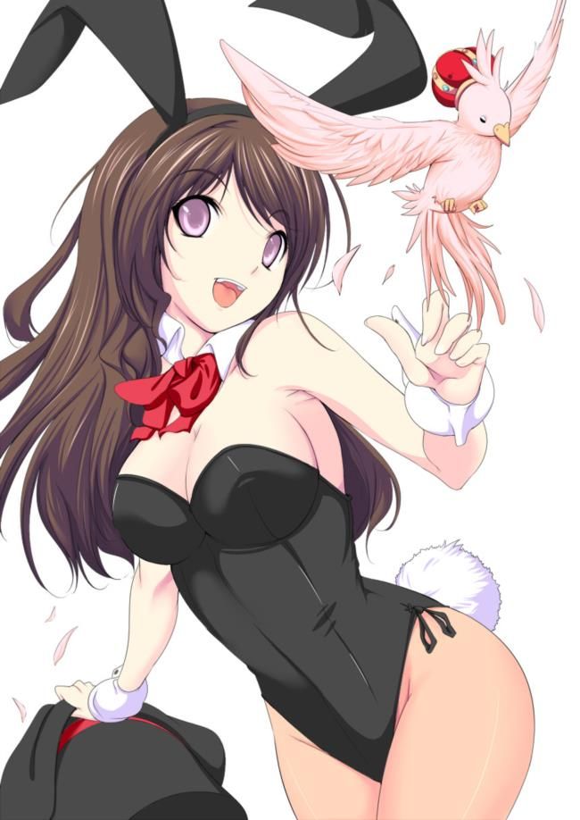 Bunny Girl's secondary erotic picture summary 19