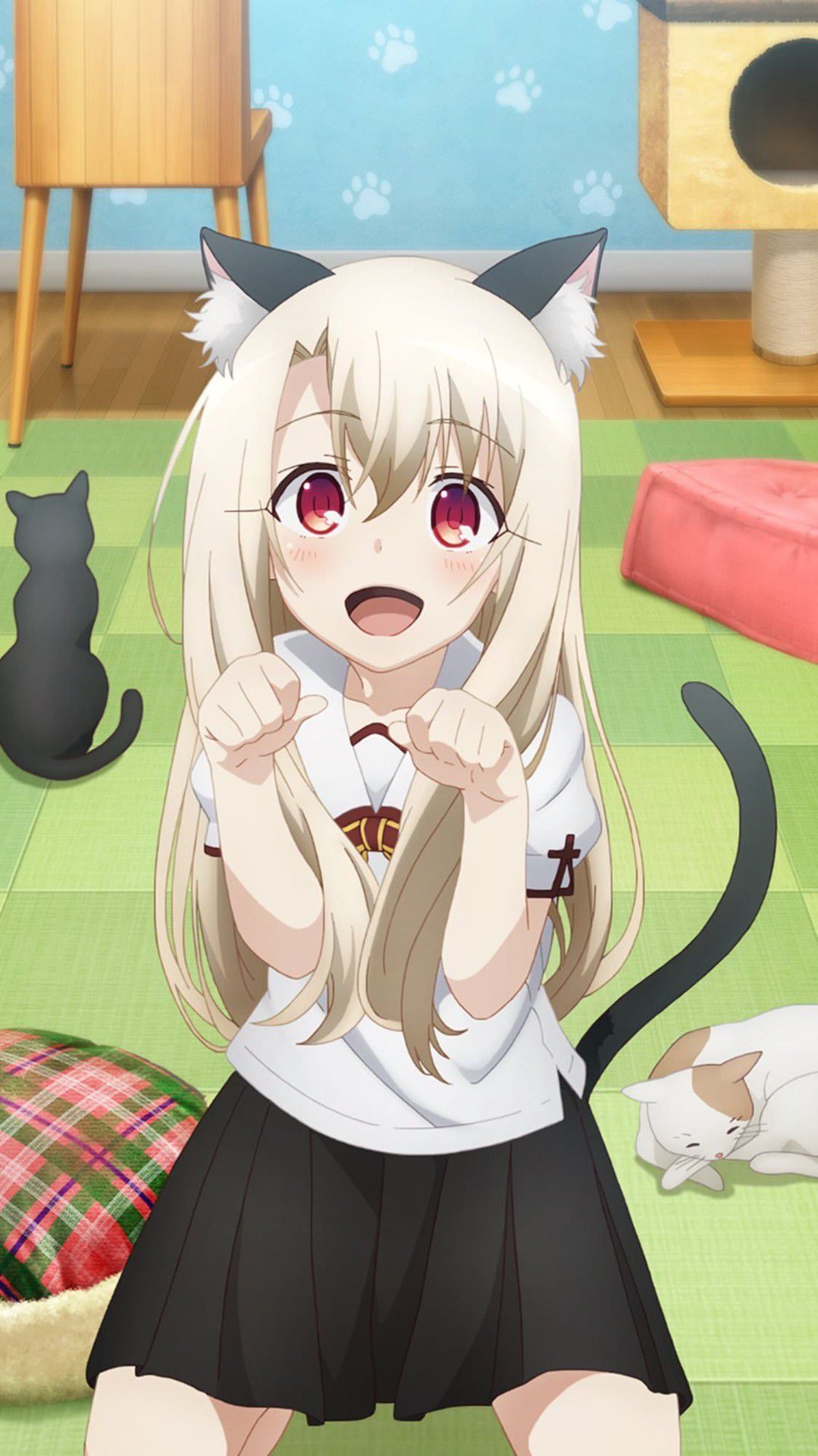 Ilya "Why should I become a cat in a cat café? You're a cat!? !? ← This wwwwwww 1