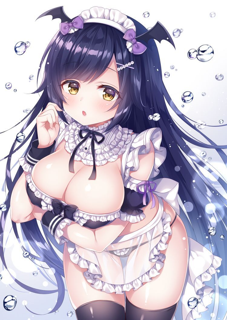 I'm going to paste an erotic cute image of the maid! 15