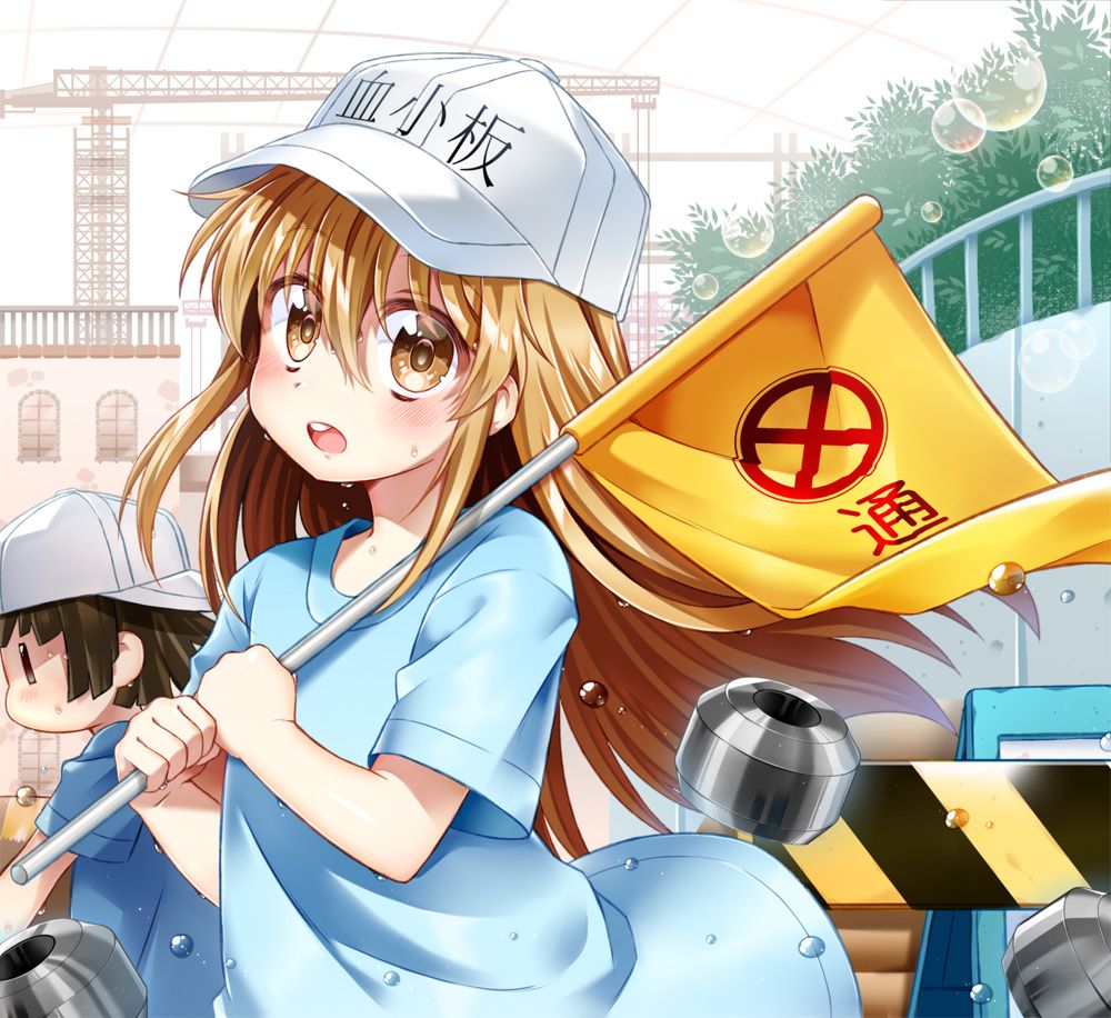 [Working cells] secondary images of platelets 1 60 sheets [ero/non-erotic] 14