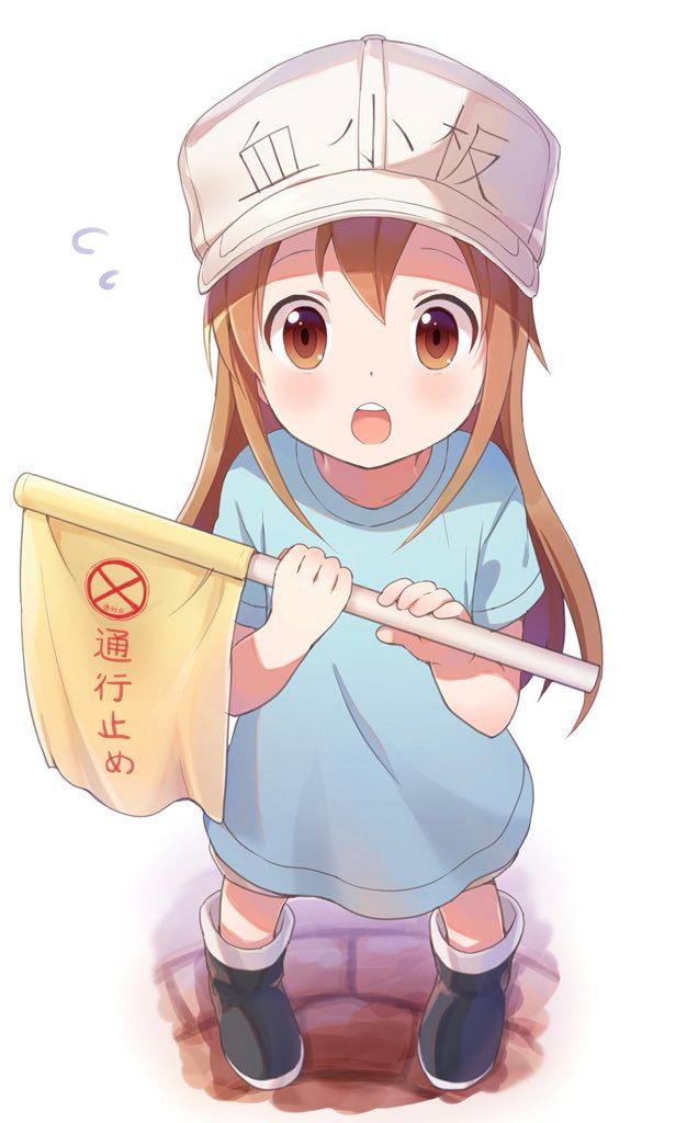 [Working cells] secondary images of platelets 1 60 sheets [ero/non-erotic] 17