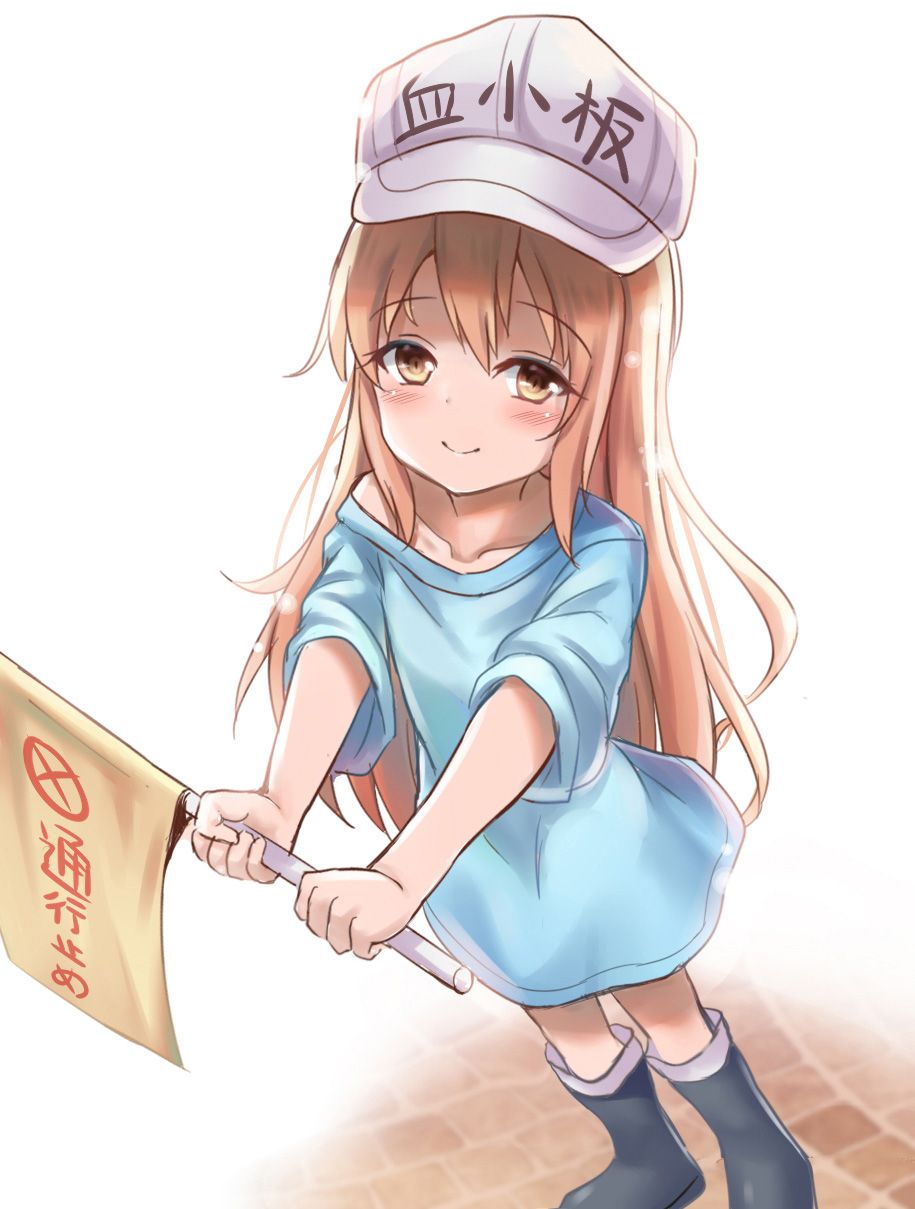 [Working cells] secondary images of platelets 1 60 sheets [ero/non-erotic] 22