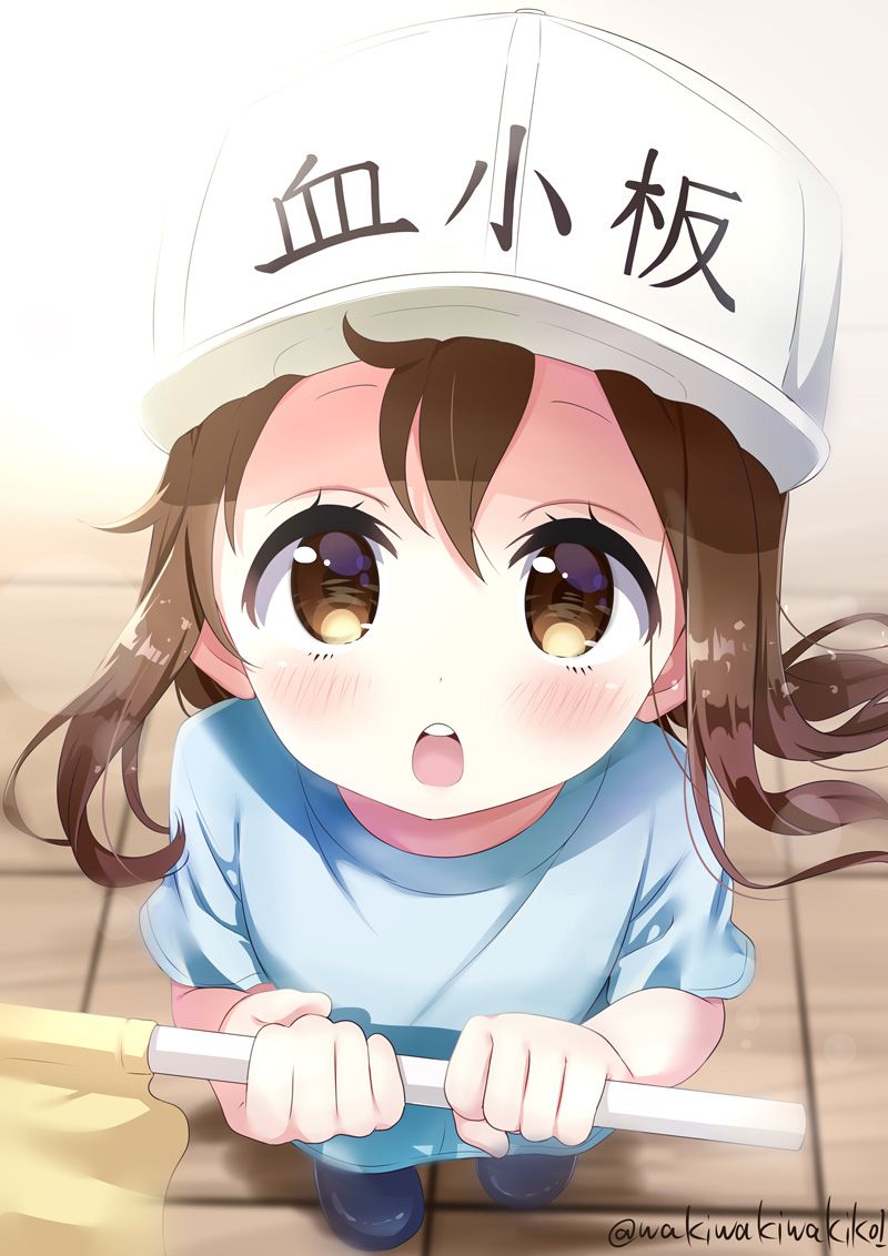 [Working cells] secondary images of platelets 1 60 sheets [ero/non-erotic] 23