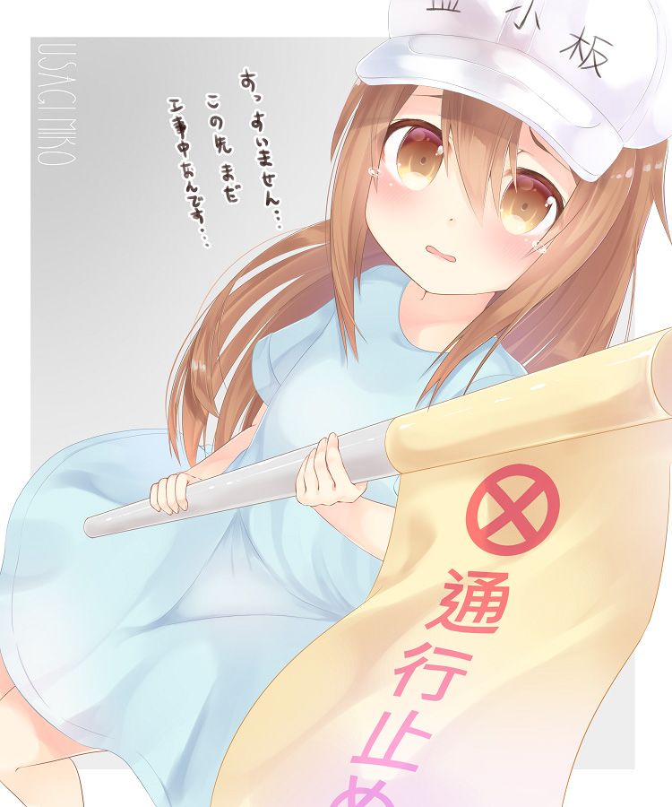 [Working cells] secondary images of platelets 1 60 sheets [ero/non-erotic] 29