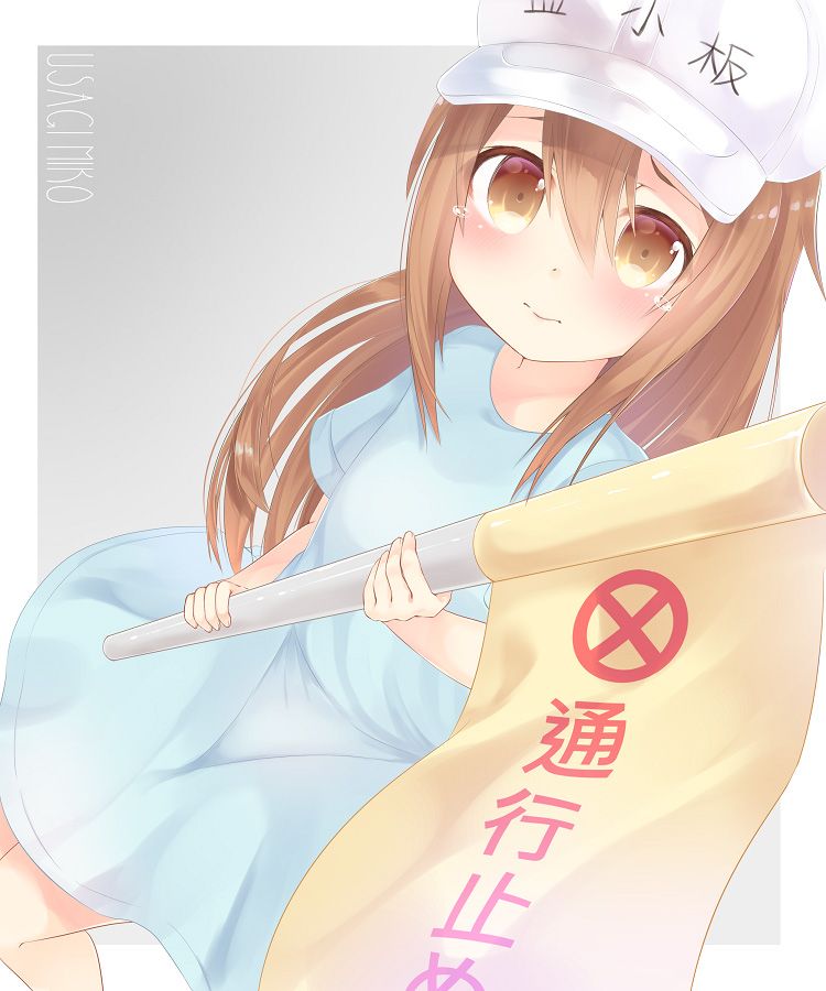 [Working cells] secondary images of platelets 1 60 sheets [ero/non-erotic] 30