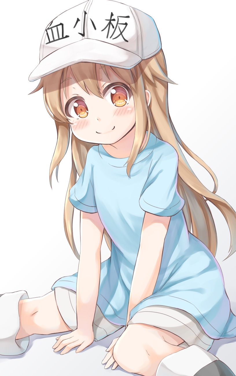 [Working cells] secondary images of platelets 1 60 sheets [ero/non-erotic] 31