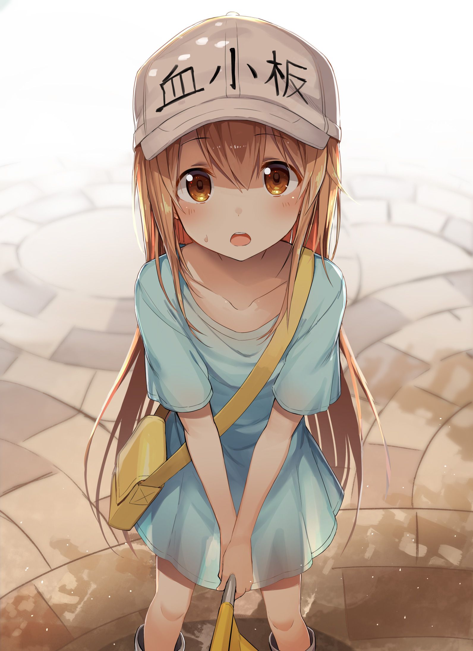 [Working cells] secondary images of platelets 1 60 sheets [ero/non-erotic] 32