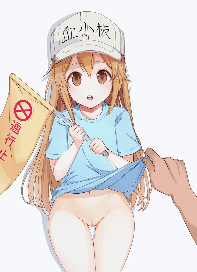 [Working cells] secondary images of platelets 1 60 sheets [ero/non-erotic] 39