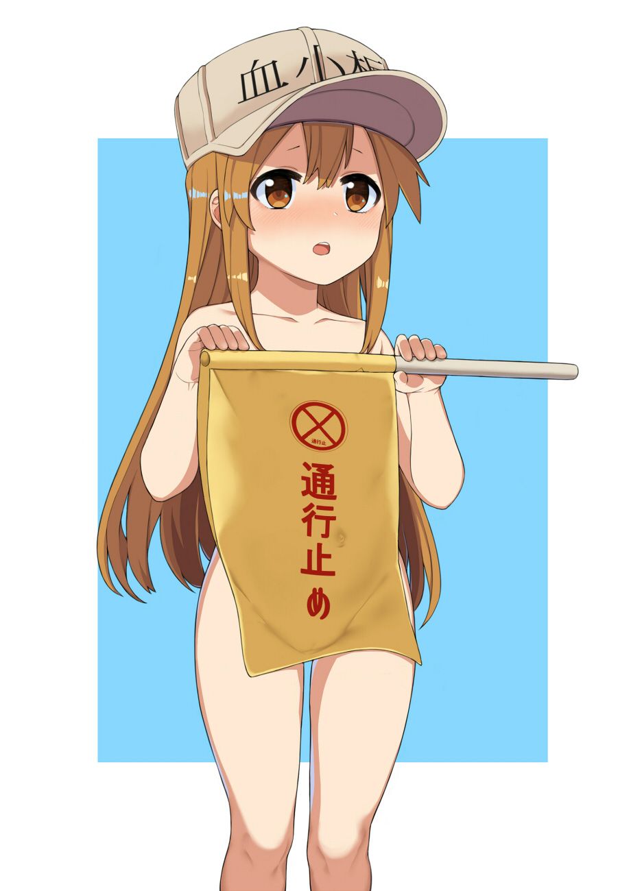 [Working cells] secondary images of platelets 1 60 sheets [ero/non-erotic] 40