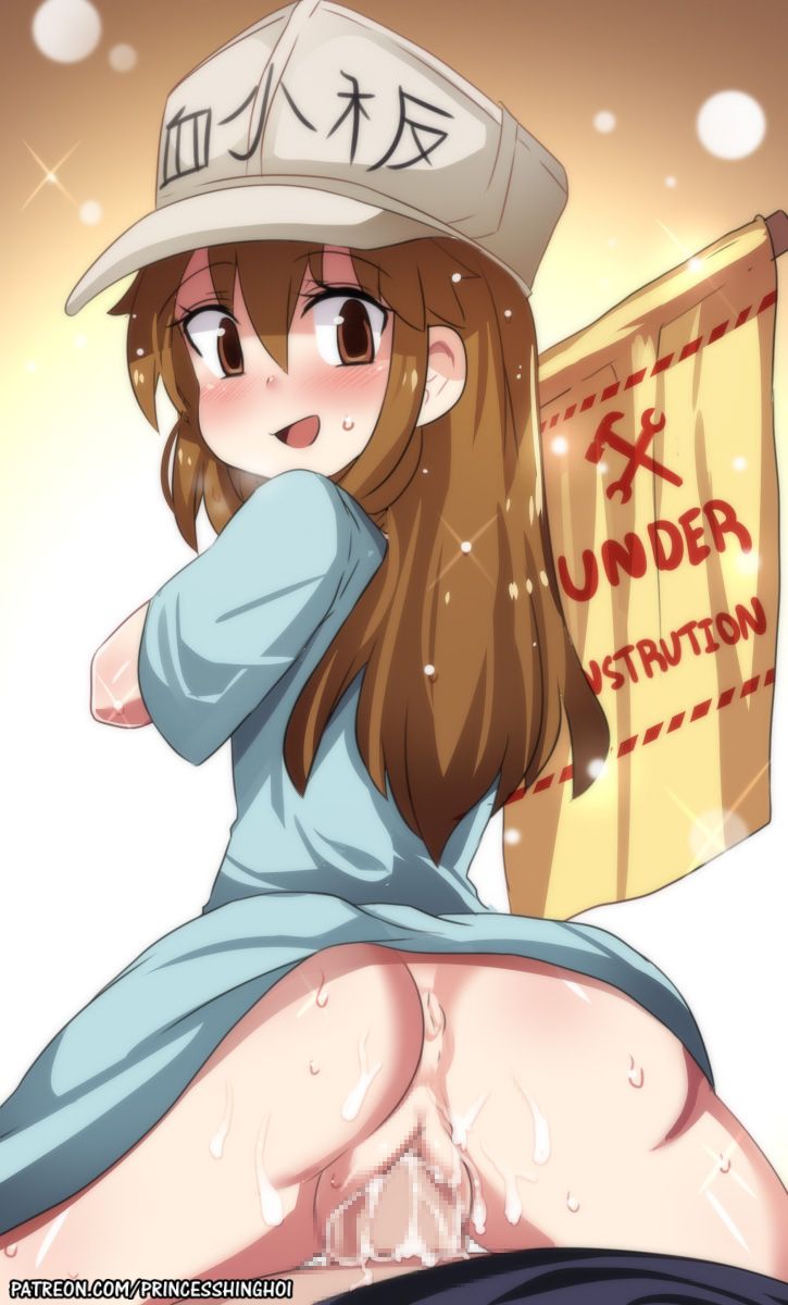 [Working cells] secondary images of platelets 1 60 sheets [ero/non-erotic] 55