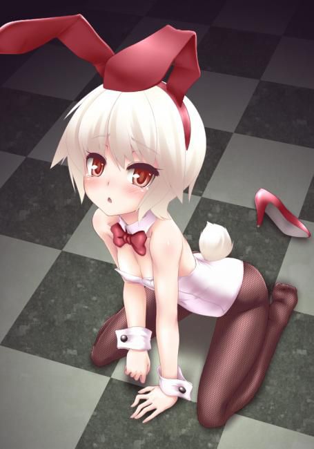 [Rabbit ear loliveny girl] small breasts you will want to give a pet and various when you are looking at the pretty figure of the rabbit ear loliveny girl! 6