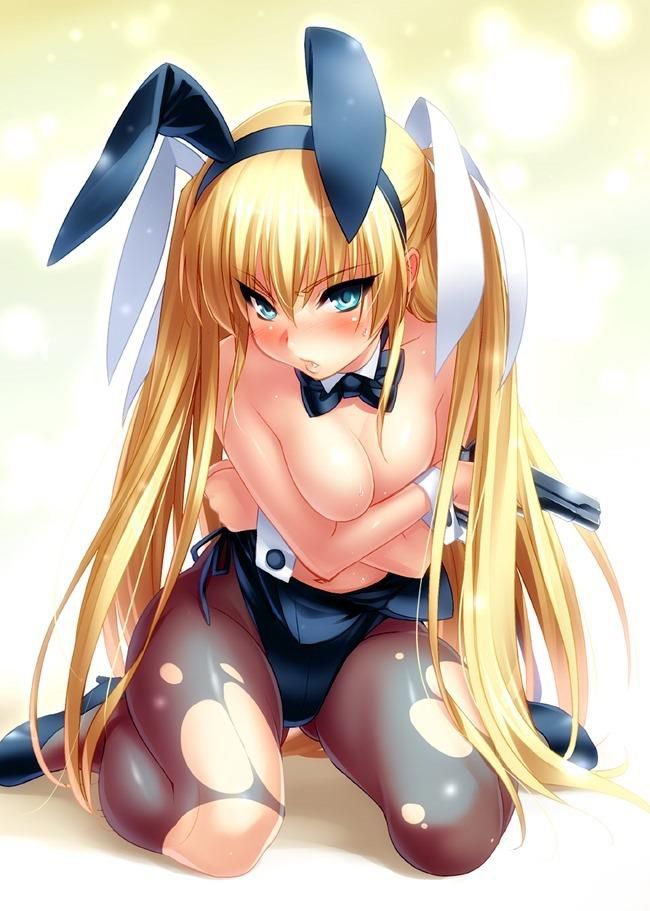 About the secondary image of the bunny Girl 5