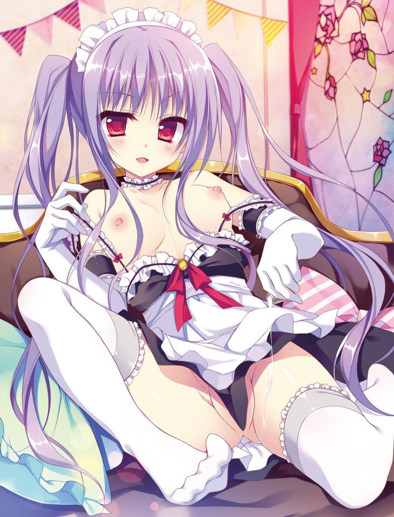 [※ Erection inevitable] beautiful girl image of the maid Yasu ginkun wwwwwwwwww [secondary image] 8