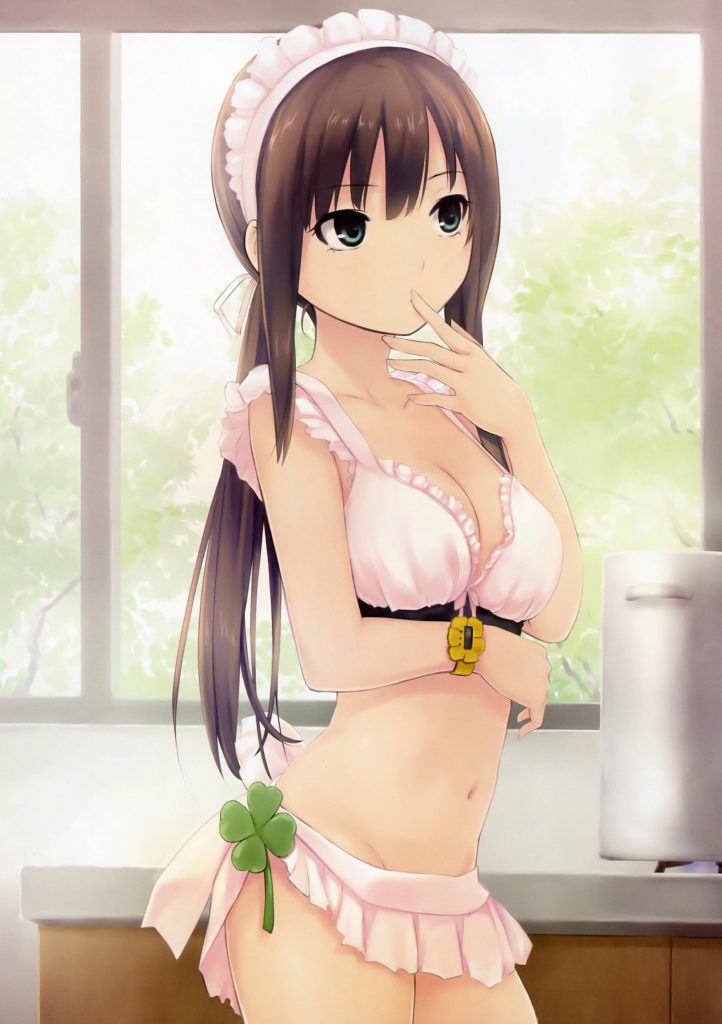 [※ Erection inevitable] beautiful girl image of the maid Yasu ginkun wwwwwwwwww [secondary image] 9