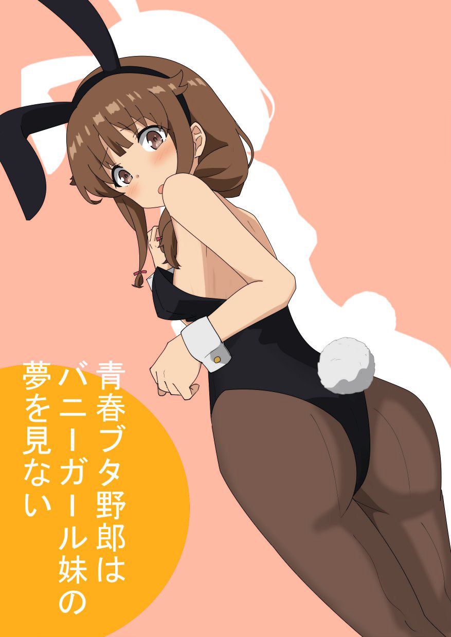 [Young pig does not dream of Bunny girl Seniors (Blue Pig)] Azusagawa Kaede's secondary image that 1 27 sheets [ero/non-erotic] 18