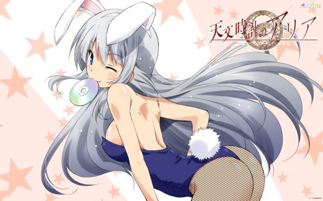 Select images of Bunny Girl ♪ 14