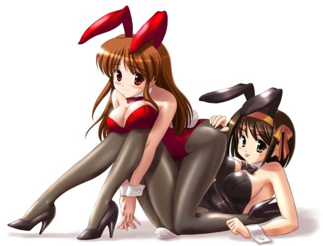 Select images of Bunny Girl ♪ 8