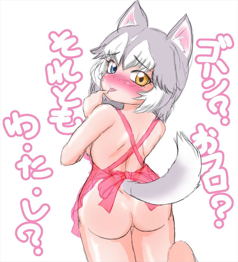 25 Photos of Ye Inu (Kemono friends) 16