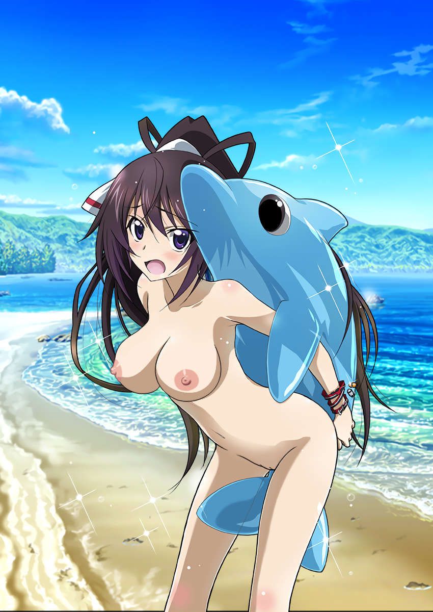 IS (Infinite Stratos) stripped of Photoshop part 18 6