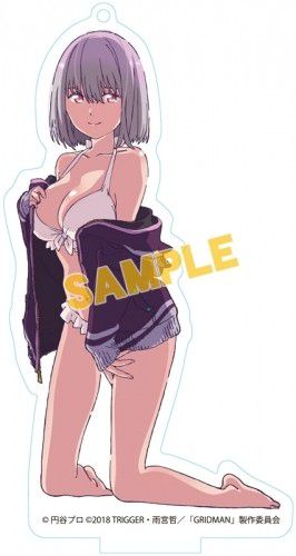 SSSS. GRIDMAN], such as the erotic tapestry and buttocks of swimsuit and Akane of the Rikka 4
